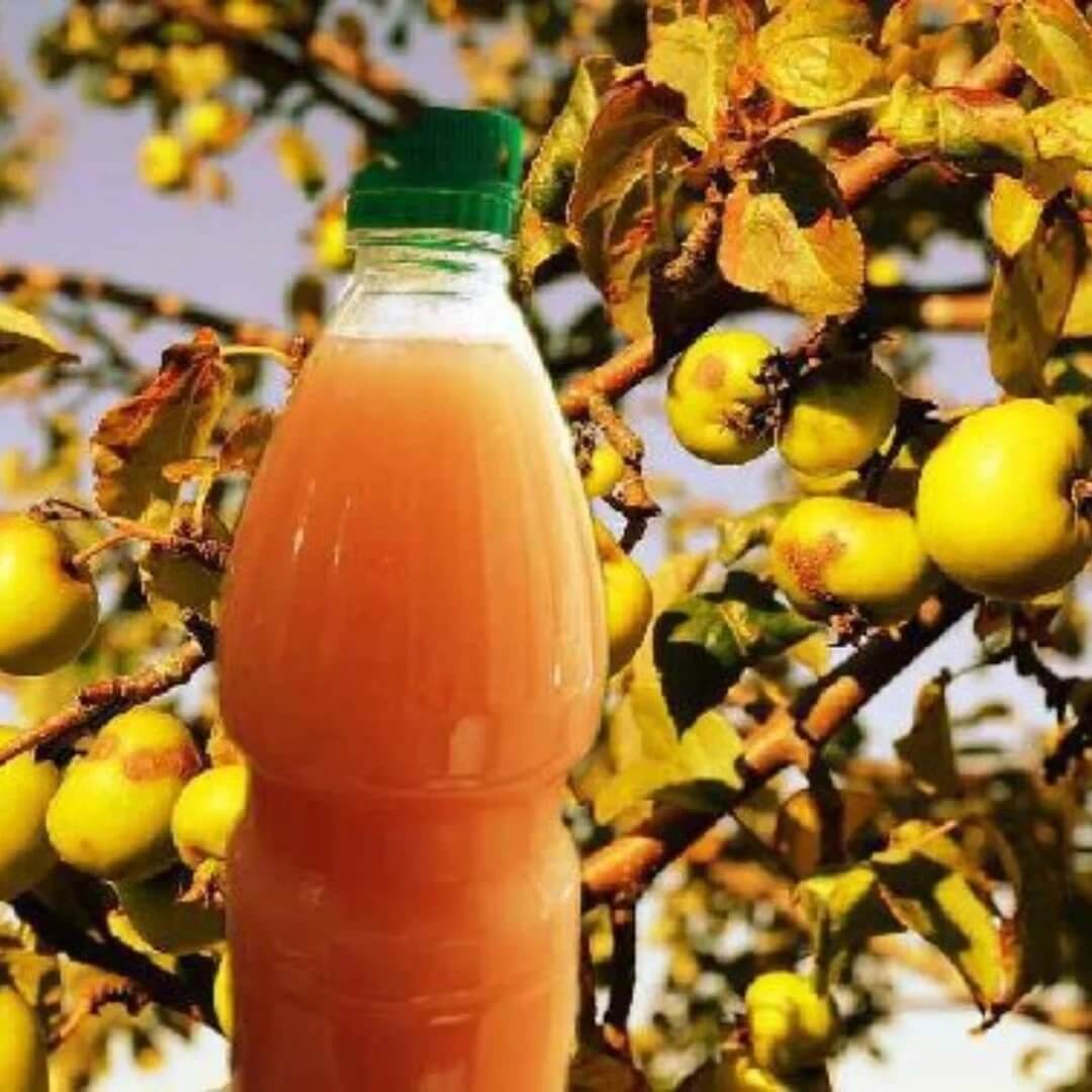 Jabukovo sirce
